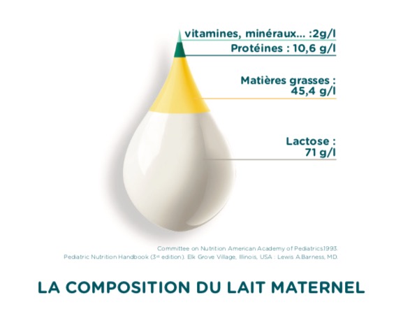 composition du lait maternel